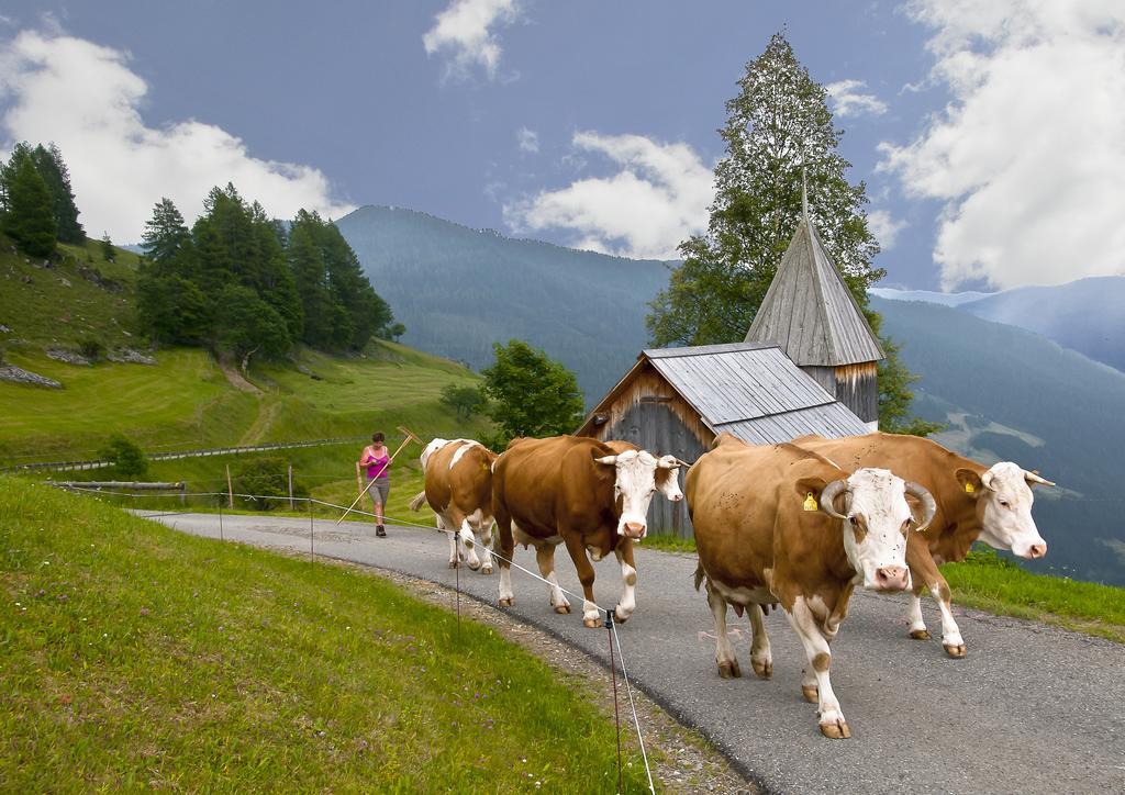 Schrunerhof Ebene Reichenau Oda fotoğraf