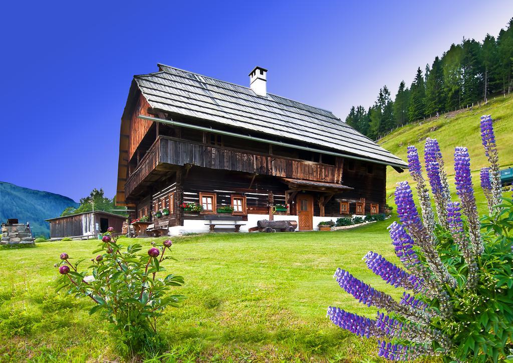 Schrunerhof Ebene Reichenau Oda fotoğraf