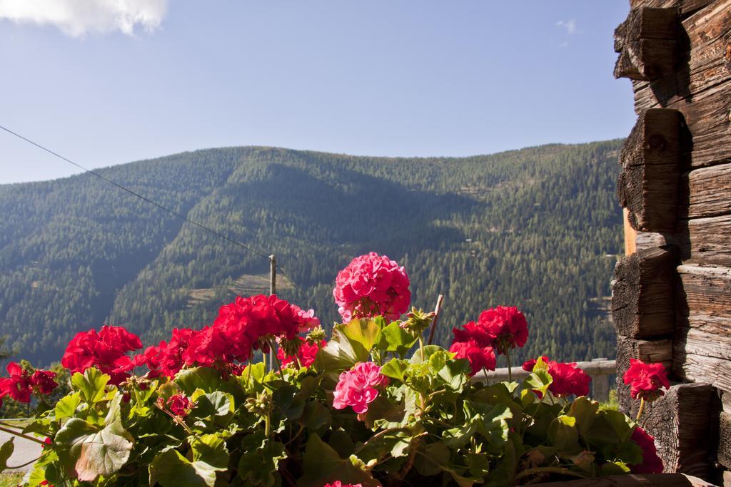 Schrunerhof Ebene Reichenau Oda fotoğraf