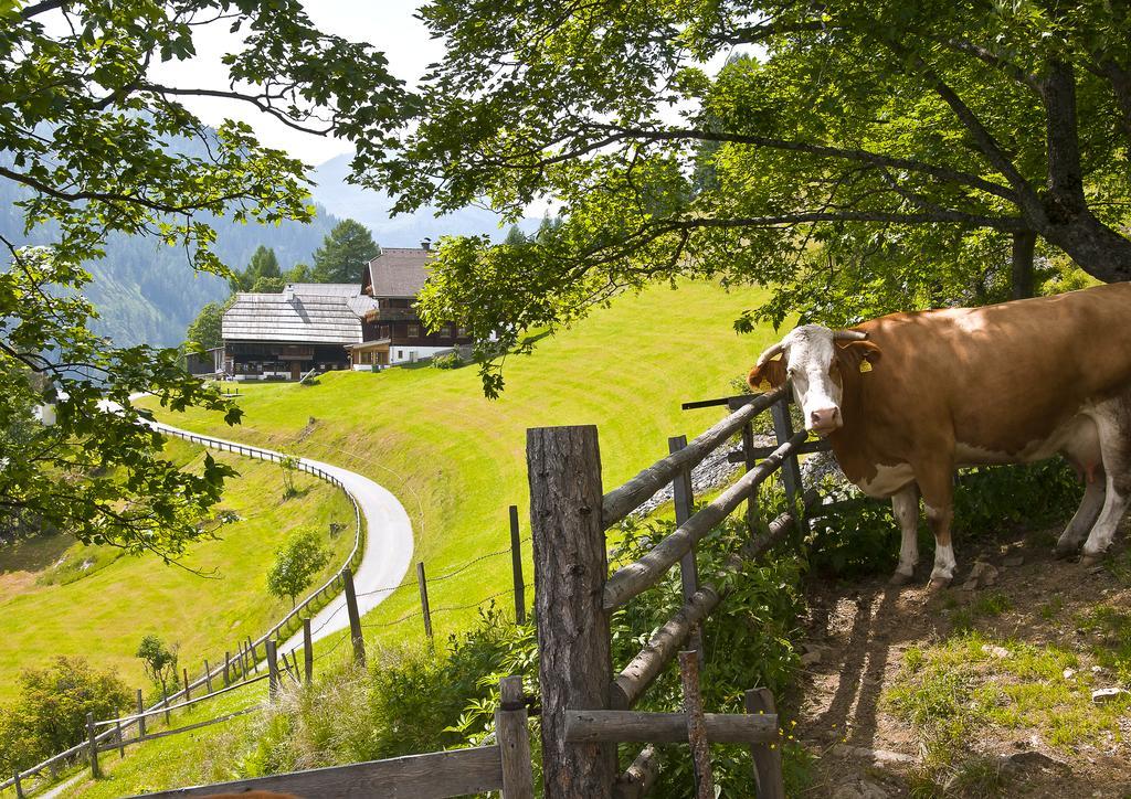 Schrunerhof Ebene Reichenau Dış mekan fotoğraf