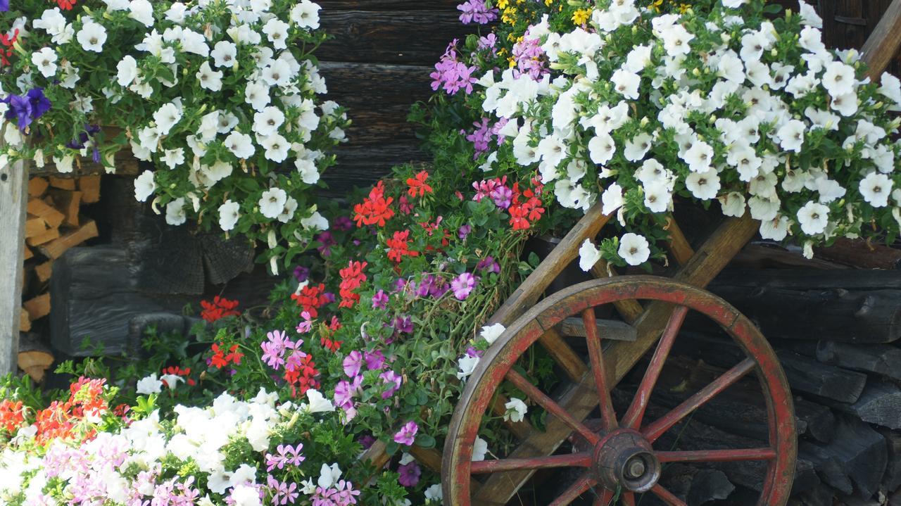 Schrunerhof Ebene Reichenau Dış mekan fotoğraf