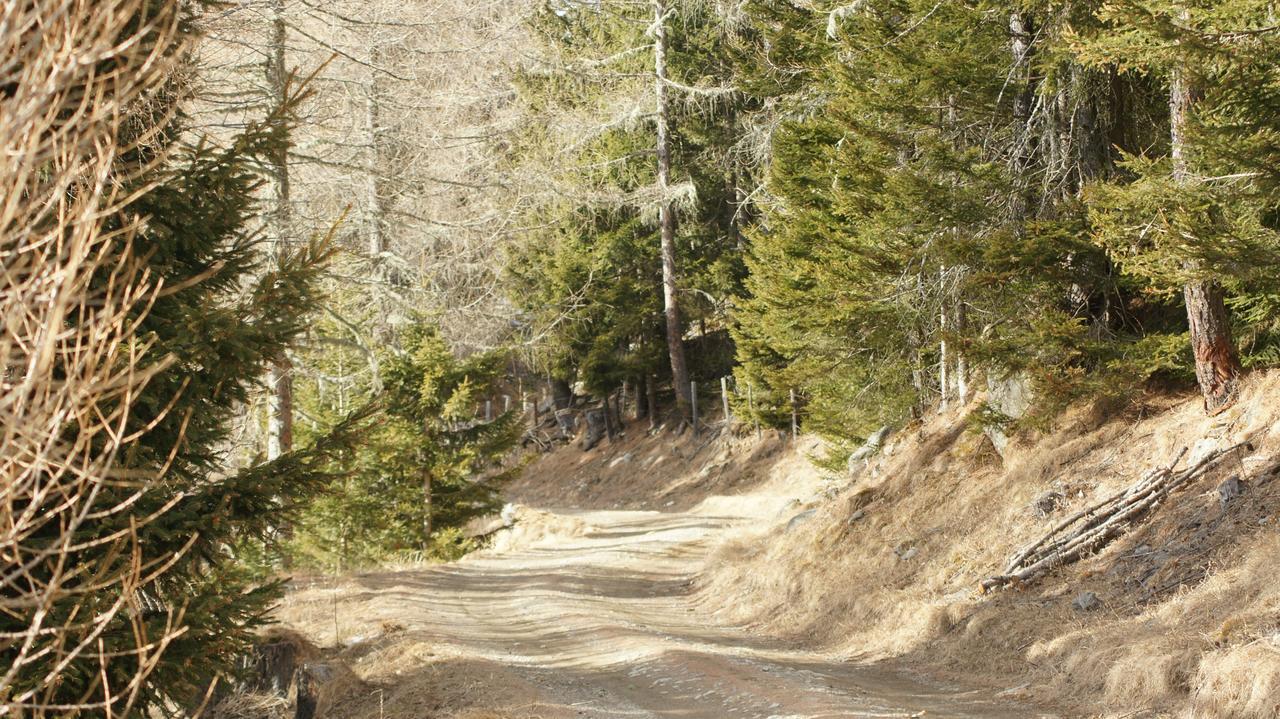 Schrunerhof Ebene Reichenau Dış mekan fotoğraf