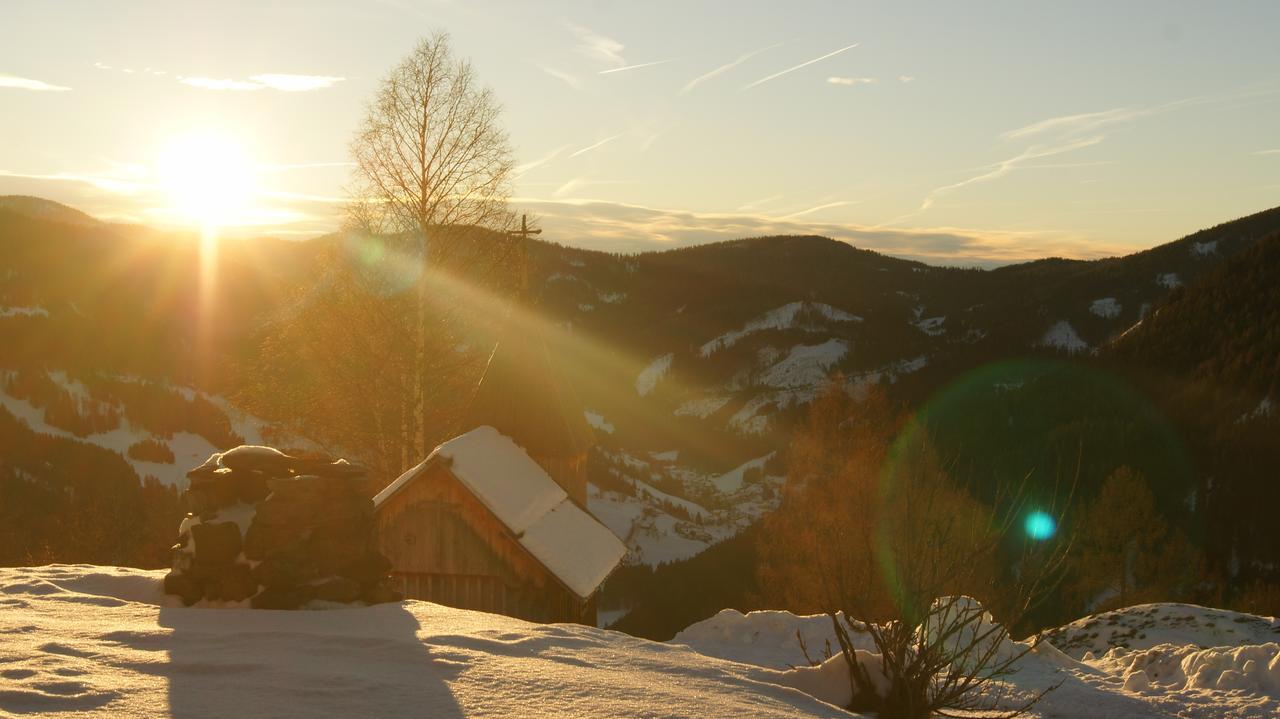 Schrunerhof Ebene Reichenau Dış mekan fotoğraf
